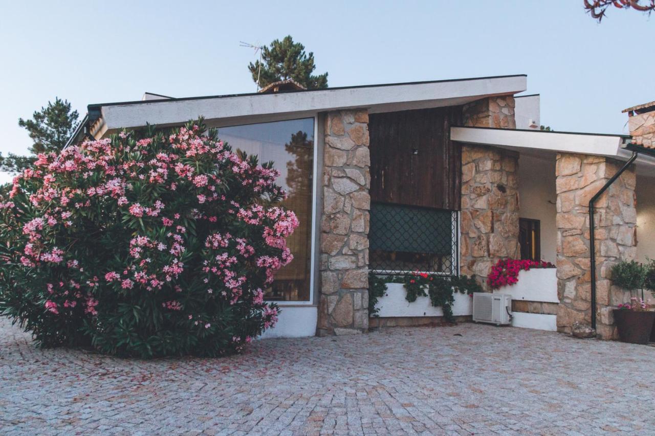 Villa Casa Da Ni - Douro à Arcos  Extérieur photo